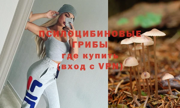 спиды Белокуриха