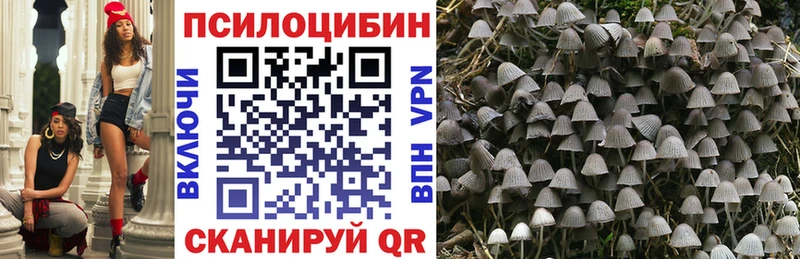 Псилоцибиновые грибы прущие грибы  купить наркотики сайты  Кстово 